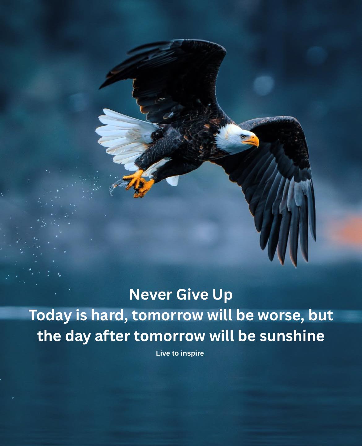 Eagle medicine - perseverance